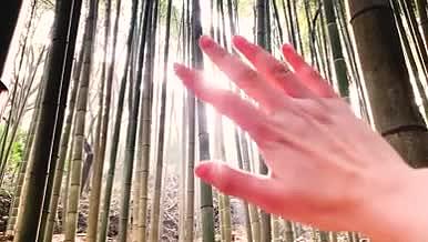 竹林少女指缝阳光视频的预览图